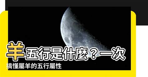 屬羊 五行|【屬羊五行】屬羊五行是什麼？屬羊五行缺什麼？一次解惑！